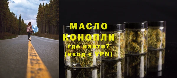 ПСИЛОЦИБИНОВЫЕ ГРИБЫ Вяземский