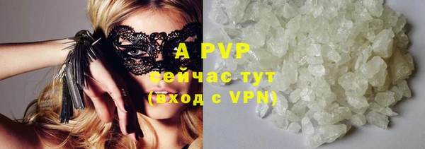ECSTASY Ладушкин