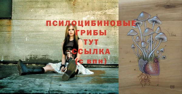 ПСИЛОЦИБИНОВЫЕ ГРИБЫ Вяземский