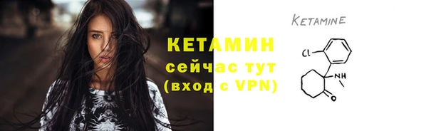 ПСИЛОЦИБИНОВЫЕ ГРИБЫ Вяземский