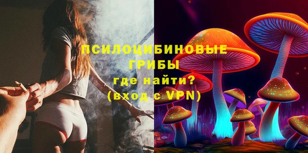 крисы Кулебаки