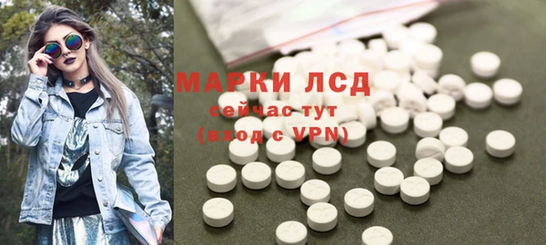 ПСИЛОЦИБИНОВЫЕ ГРИБЫ Вяземский