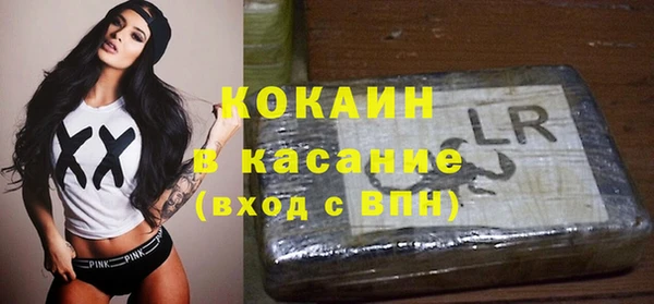 ПСИЛОЦИБИНОВЫЕ ГРИБЫ Вяземский