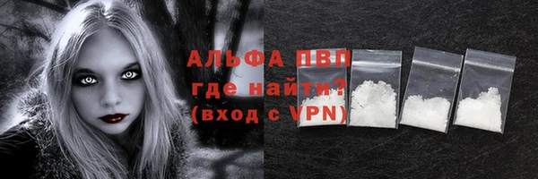 ECSTASY Ладушкин